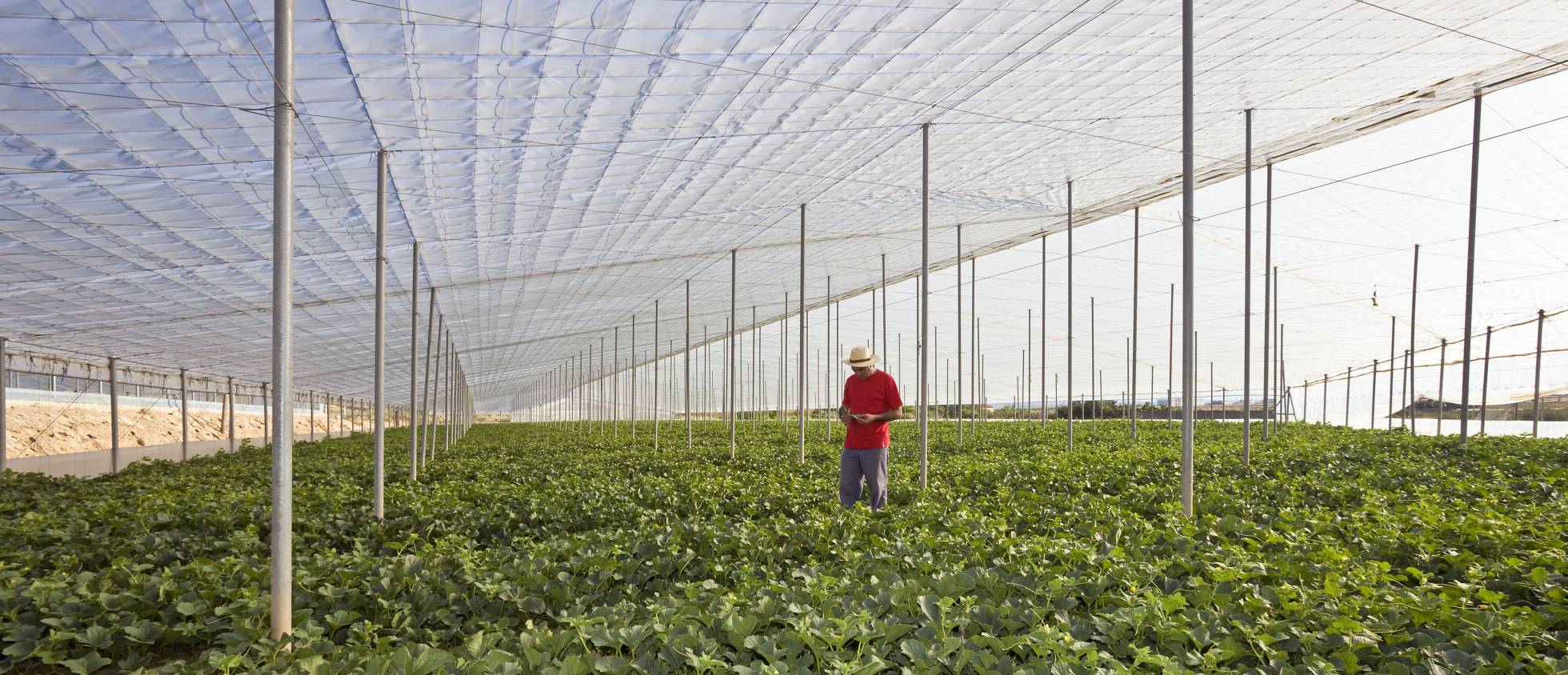 Los amos de la huerta de Europa