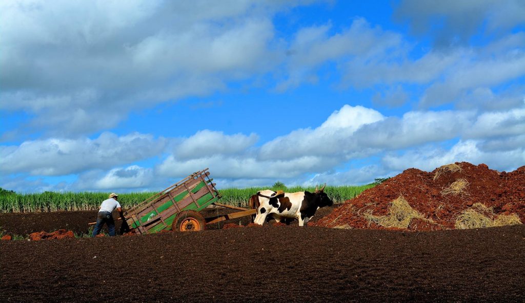 AgroEcología