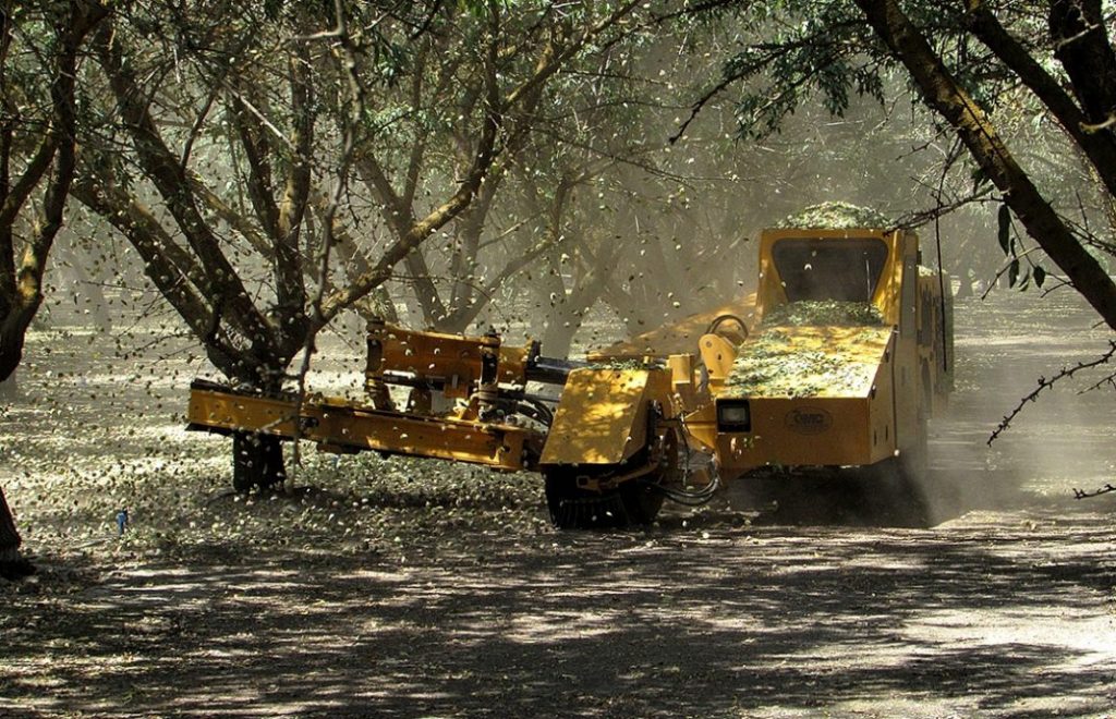 Producción mundial almendra