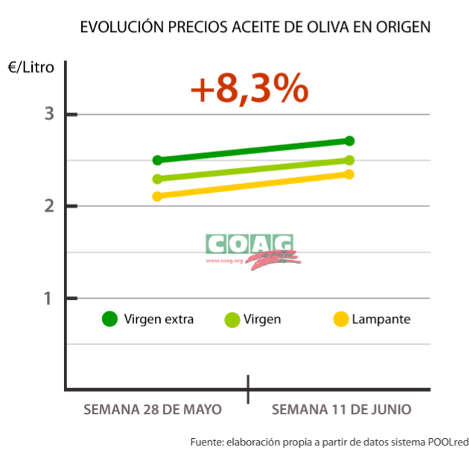 Evolución precios aceite