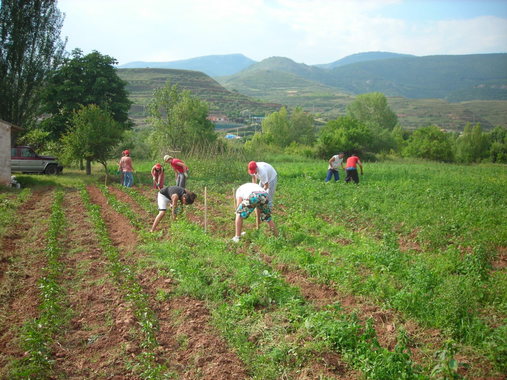 Prorroga de las medidaspara promover el empleo temporal agrario