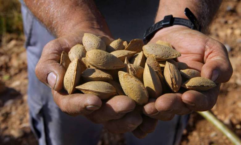 Baja el precio de la almendra