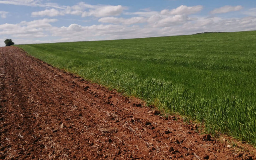 LA PAC ES APOYO A AGRICULTORES Y GANADEROS