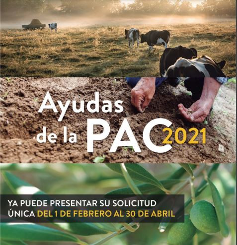 PAC 2021