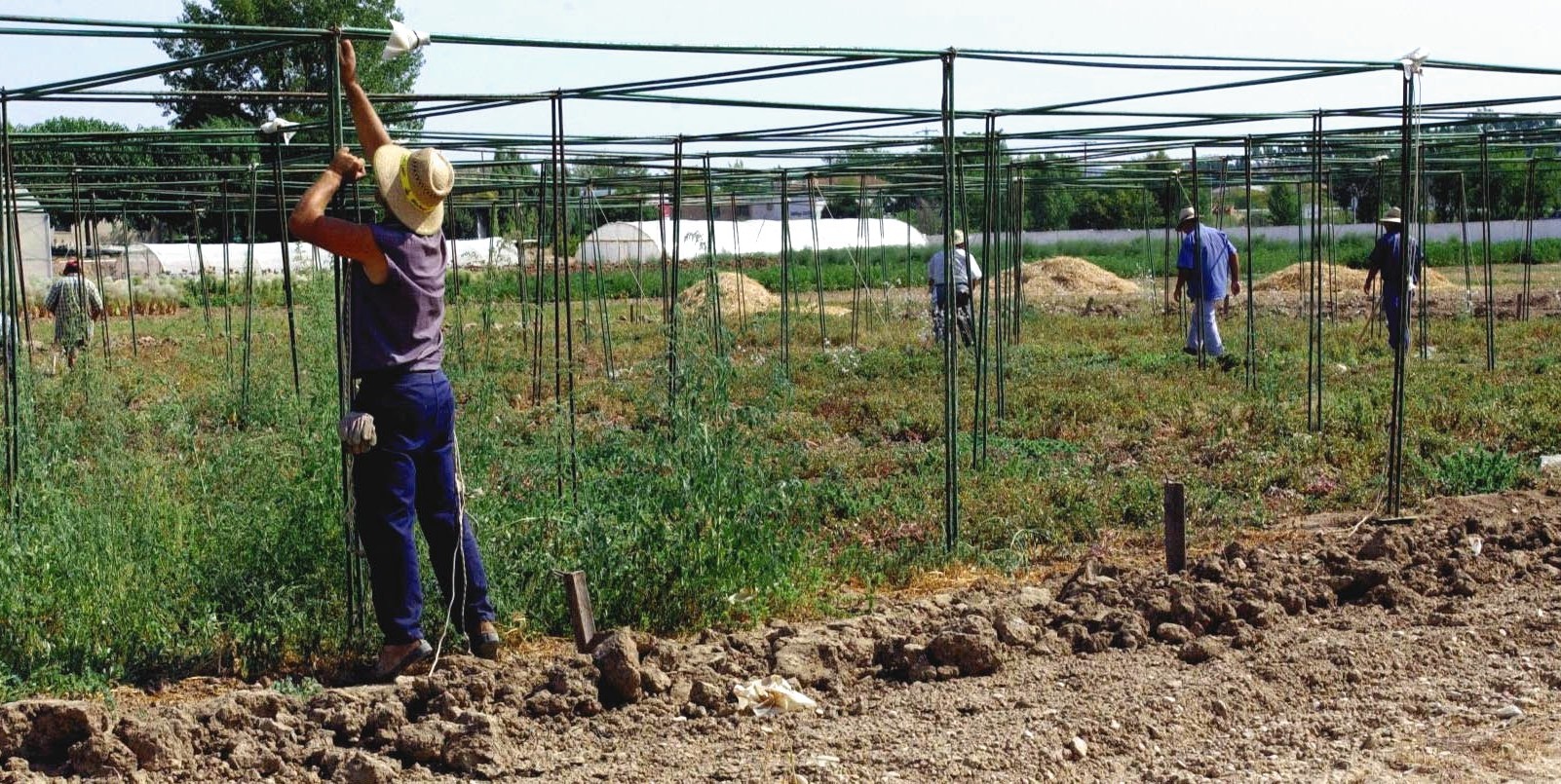 Subvenciones dirigidas a los profesionales del medio rural