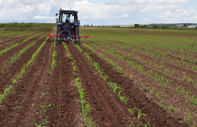 Relaciones en el sector alimentario