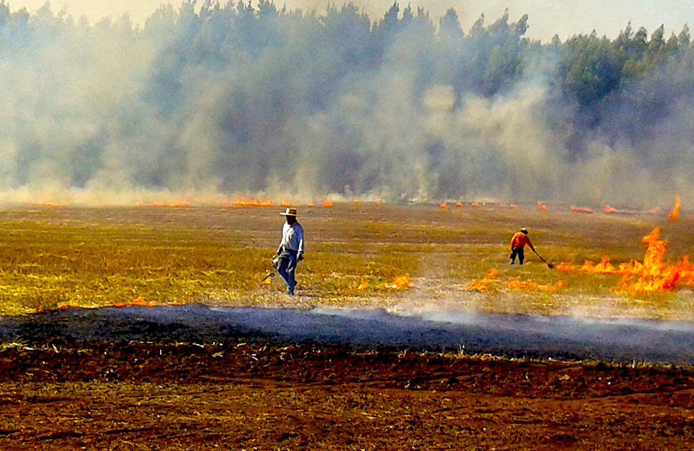 QUEMAS AGRICOLAS