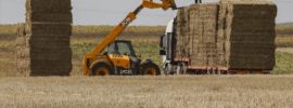 GOLPES DE CALOR EN EL CAMPO